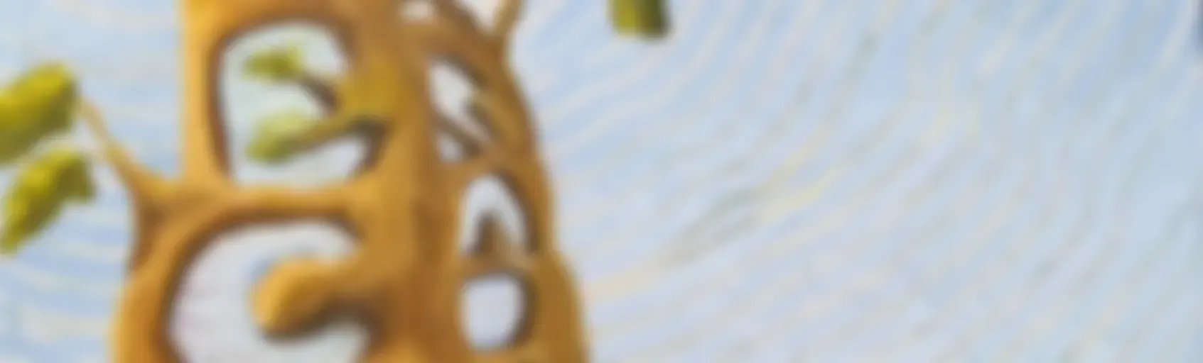 Eco Radio
