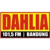 Radio Dahlia langsung