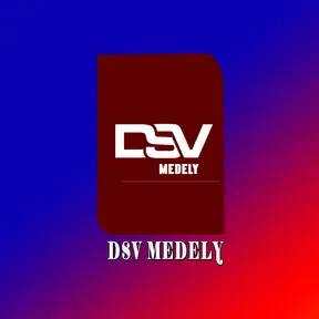 DSV MEDELY