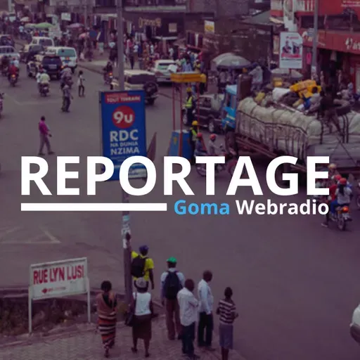 En cas d'accident routier, comment gérer le conflit ? (REPORTAGE)