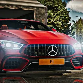 Miguelff