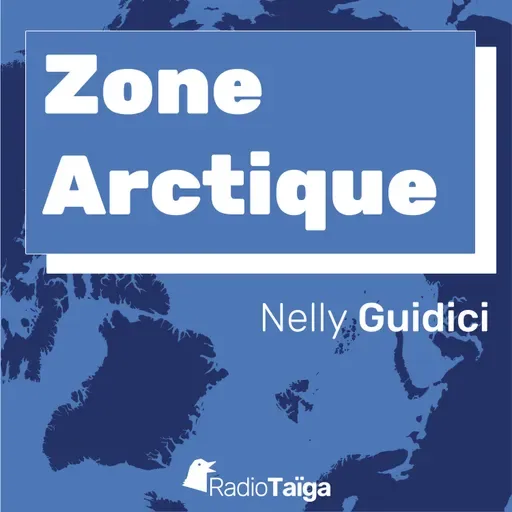 Zone arctique - Ce que révèle la structure du sol après les séismes