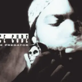 Ice cube