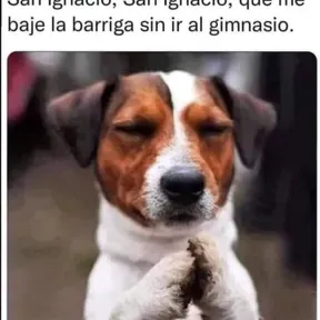 Anónimo xd