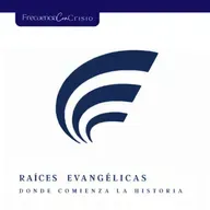 Introducción - Promocional