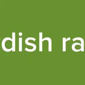 kurdish radio