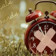 Does Time heal all wounds? 🤔