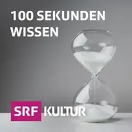 Glückskäfer Skarabäus