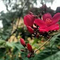 Jardim Desertico=Oasis!!!