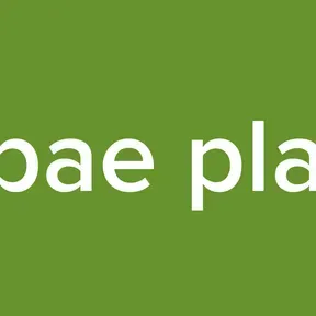 Ayabae playlist