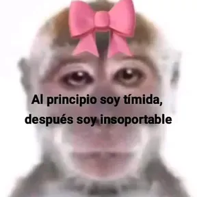 BELICOSSOMOSBELICOSMORIMOS