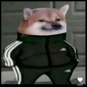 Pedrin