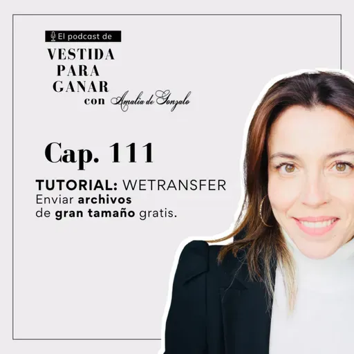 111 - Cómo enviar imágenes de gran tamaño y gratis: TUTORIAL DE WETRANSFER