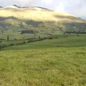 LEONANTURADIO