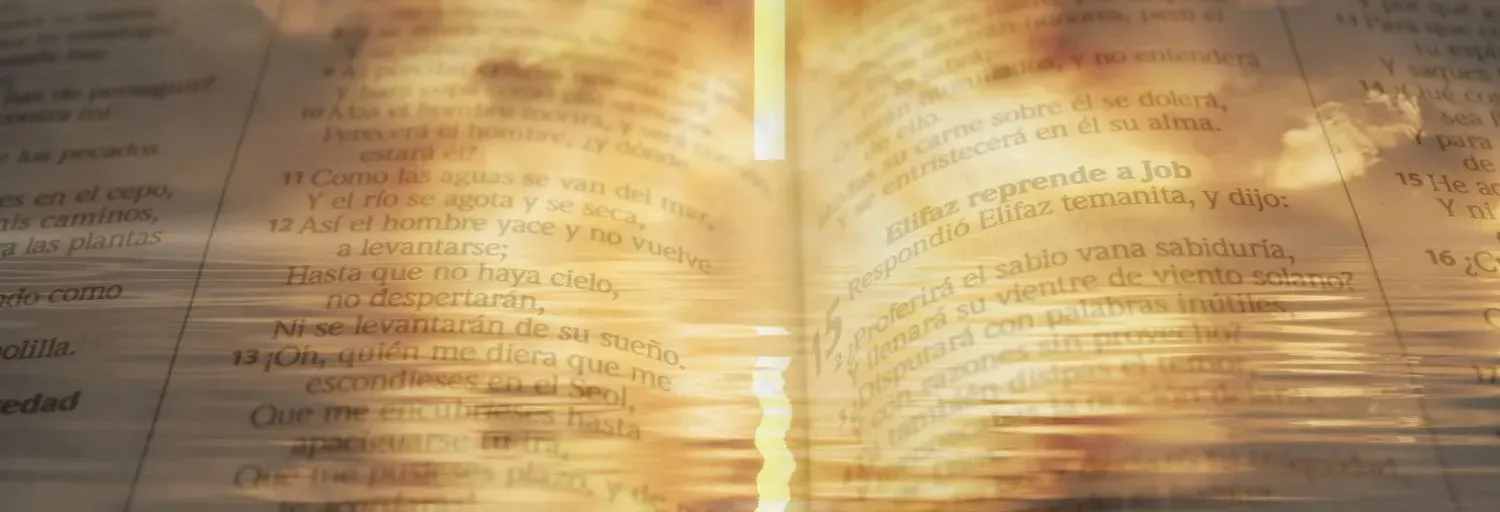 Reflexão em Cristo