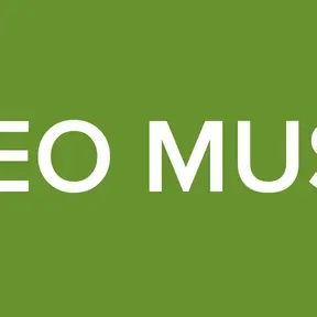 STEREO MUSICAL