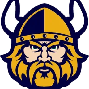 VikingRadio