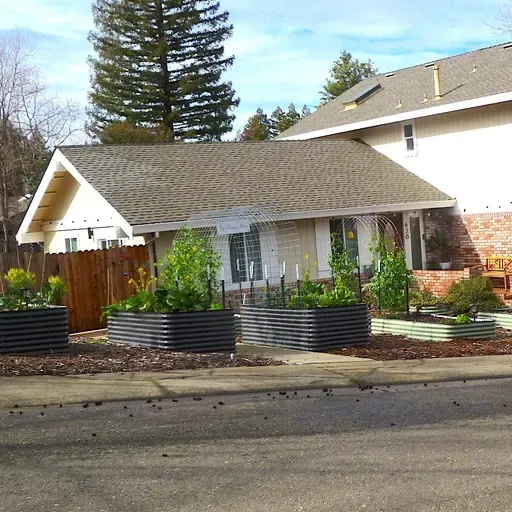 Stock Tank Gardening