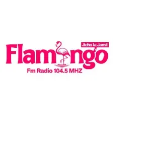 Flamingo FM 104.5