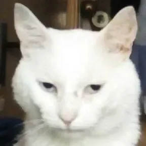 RoRadioEtno