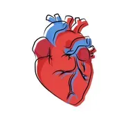 El corazón | Ep. 084