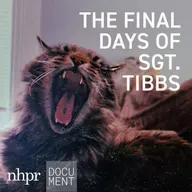 Introducing NHPR's "The Final Days of Sgt. Tibbs"