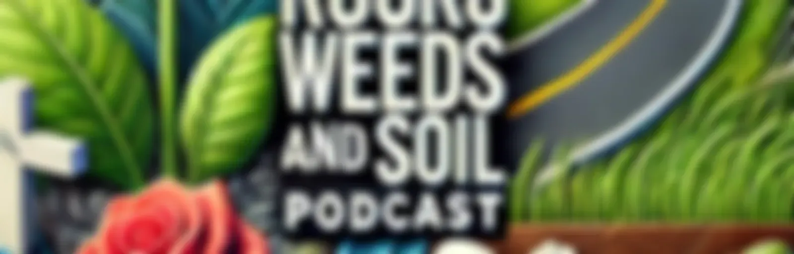 ROADS ROCKS WEEDS + SOIL