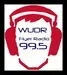 Flyer Radio - WUDR