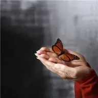 146. Are you Healing or Hiding?