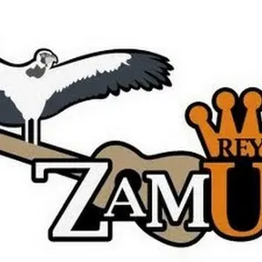 ZamuroDJ
