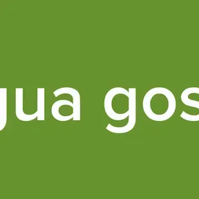 tingua gospel