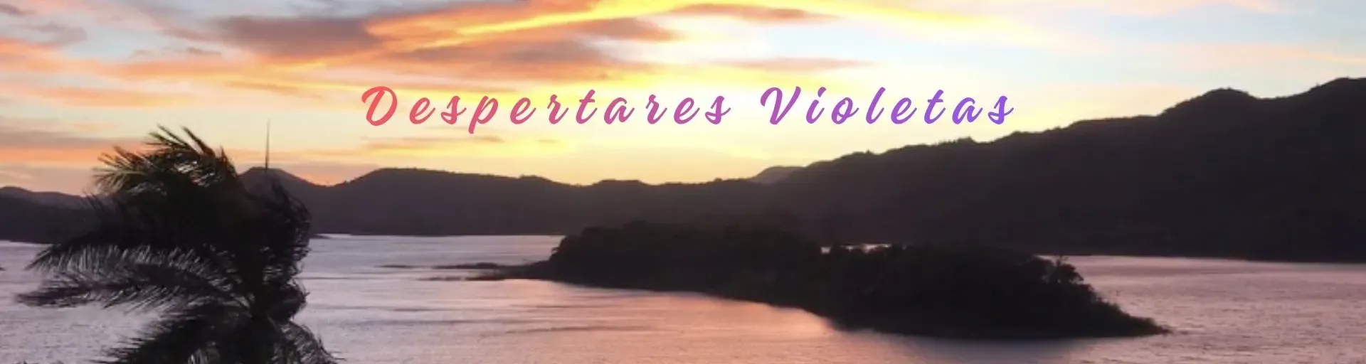 Despertares Violetas