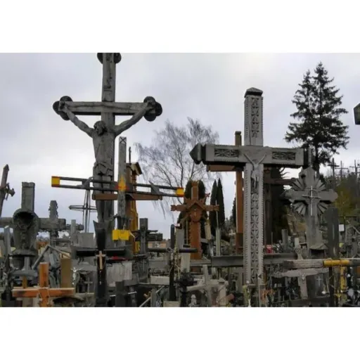 Daily Bible Plan, 15 December