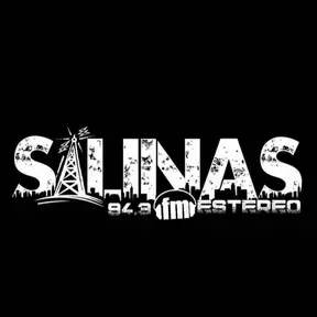 Salina Estereo 94.3 fm