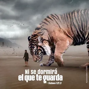 DIOSNODUERME