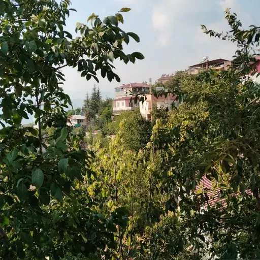 Deza Zazaca İlahi.mp3