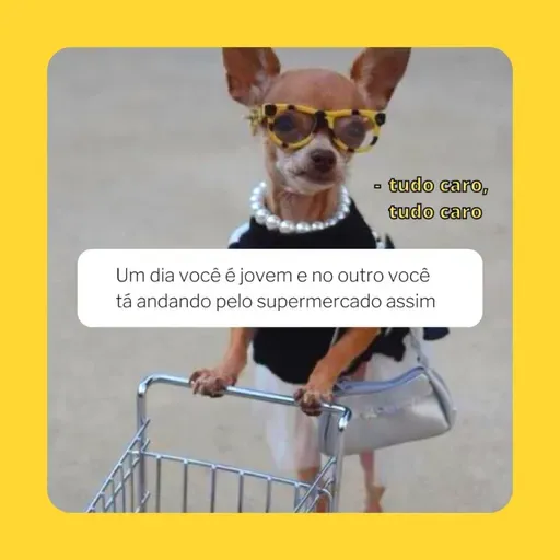 ser adulto é tudo isso? (ft duda!!!)
