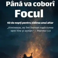 Ziua 39:
Damigeana se sparge in fața ușii...

Isaia 37:3