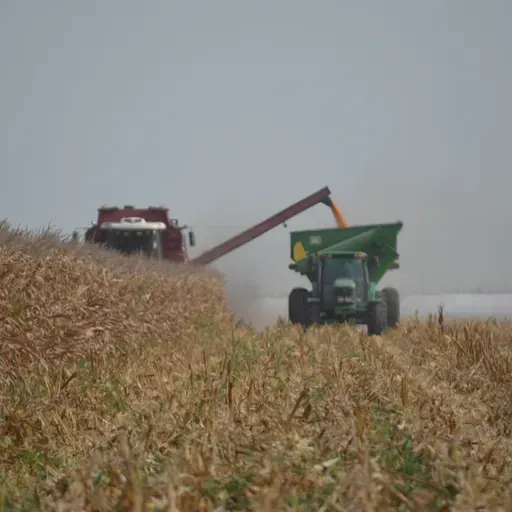 #PodcastMDO | Diego Pascuale, el campo el tiempos de Milei