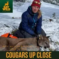 EatWild 100 - Cougars Up Close - Researching cougar behaviour with wildlife biologist Julie Thomas