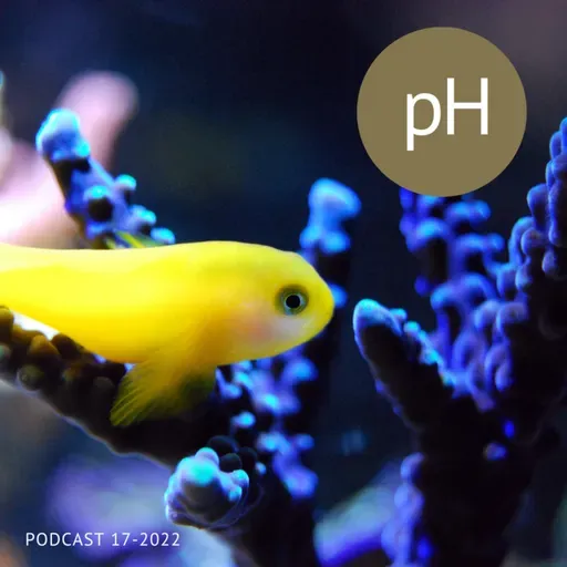Ph en el Acuario Marino - Parte I