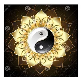 yingyang disco