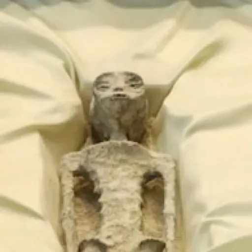 223 - Show and tell " Azúcar por la espalda"