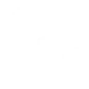 Conecta Rio