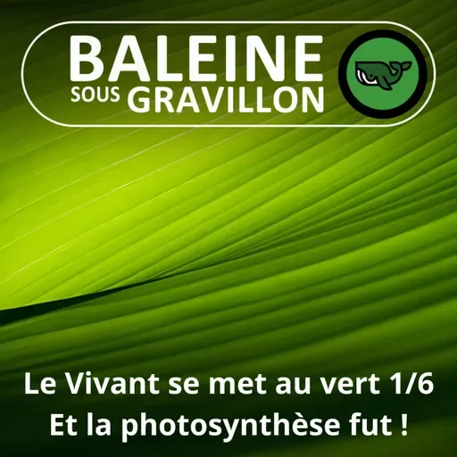 S07E73 Et le Vivant se mit au vert 1/6 : La photosynthèse fut !