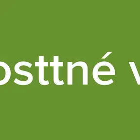 é o losttné vidah