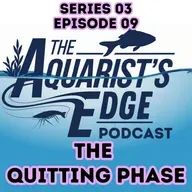 The Phase Where Most Aquarists Quit