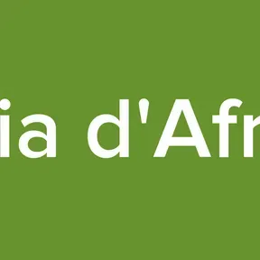 Media d'Afrique