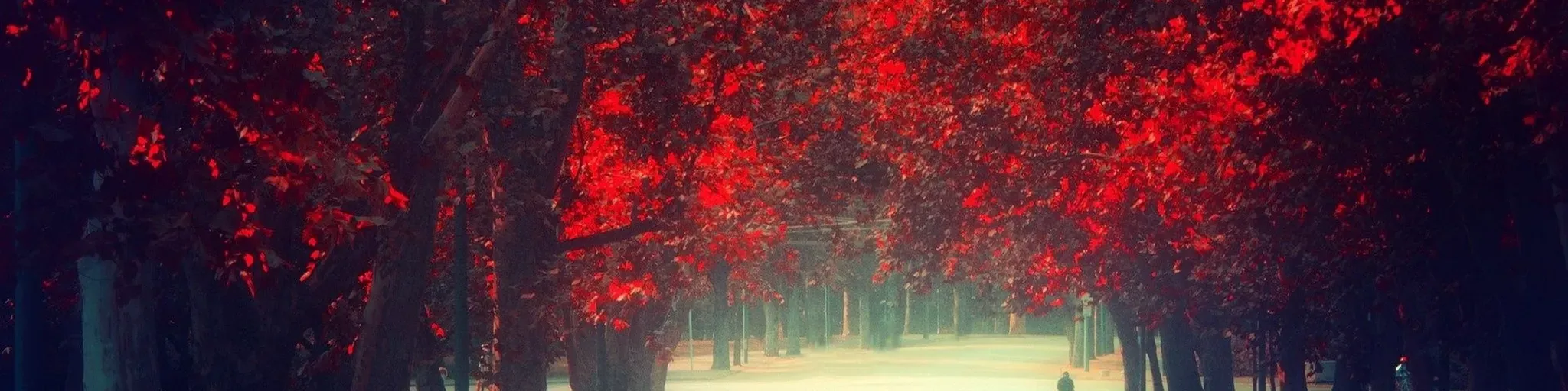 Radio des marchés - Bénin