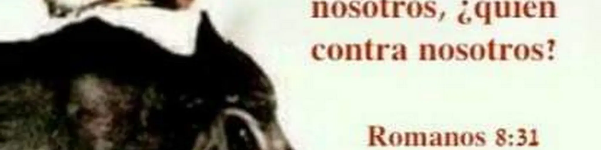 NUEVA RADIO DIOS CON NOSOTROS ES